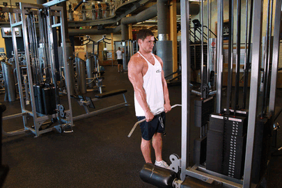 Pečių traukimas aukštyn