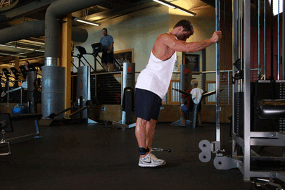 Tricepsų atgalinis spyris